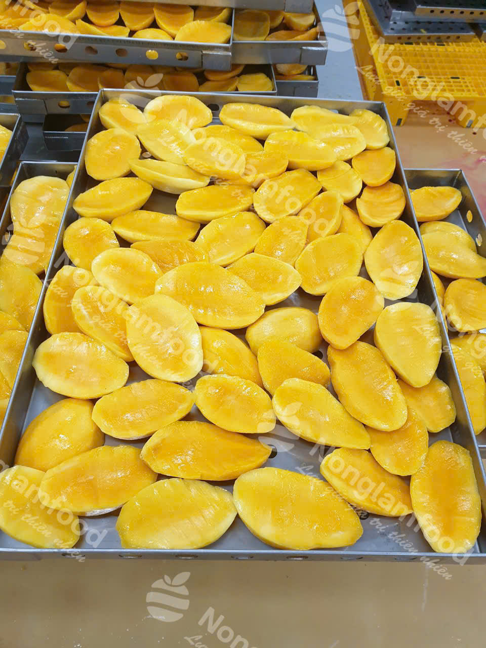المانجو المجففة اللينة من Nonglamfood النابضة بالحياة والذهبية